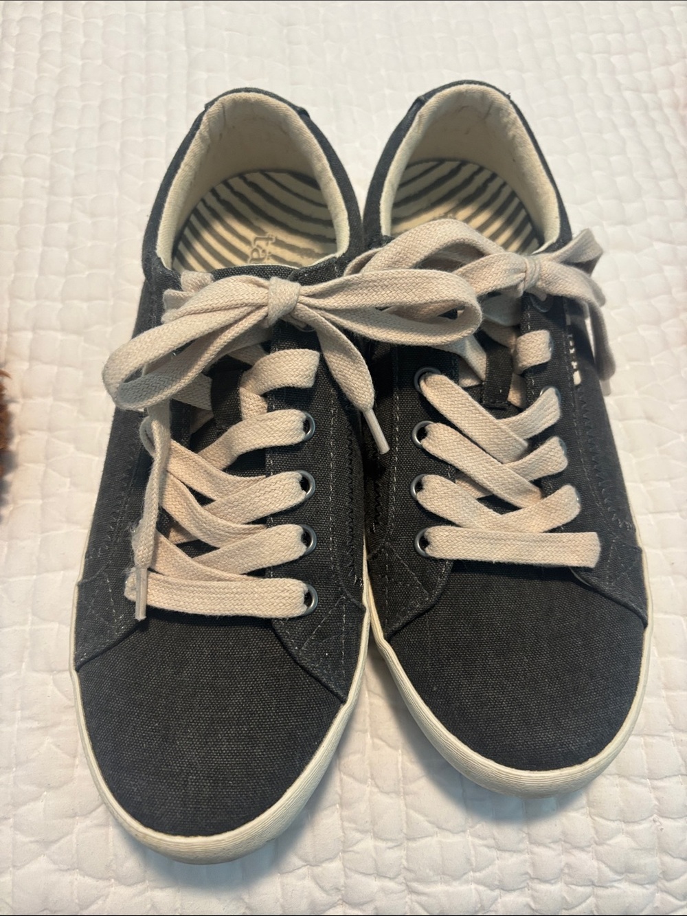 Taos Star so 8 Black Canvas Sneakers with Cream Laces
